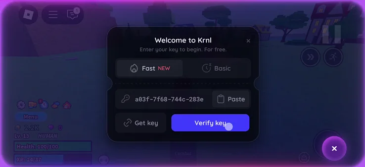 Verify Krnl Key button